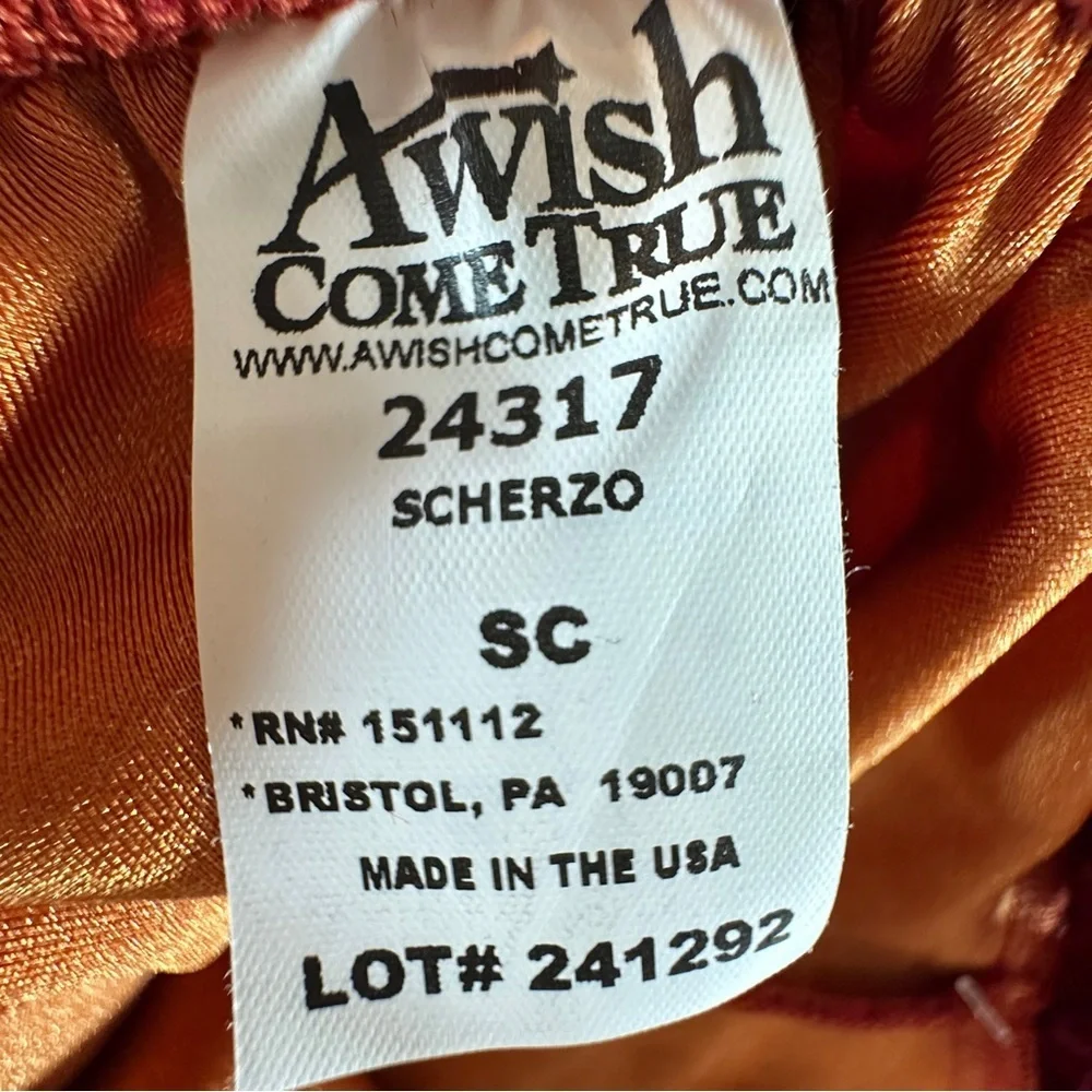 A Wish Come True Scherzo Ballerina Dance Dress Burgundy Orange 24317 Costume